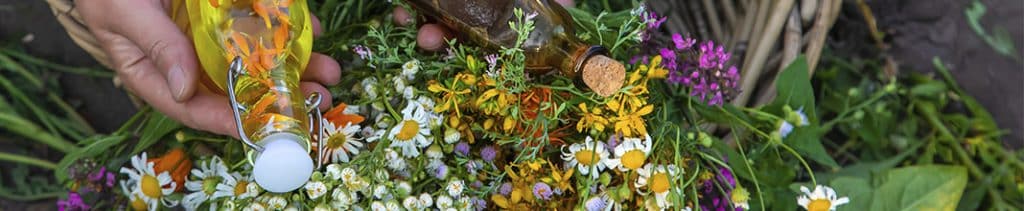 Qué clases de naturopatía existen: técnicas y tratamientos Qué clases de naturopatía existen: técnicas y tratamientos