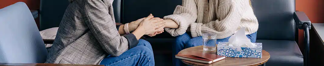 Principales componentes de la inteligencia emocional