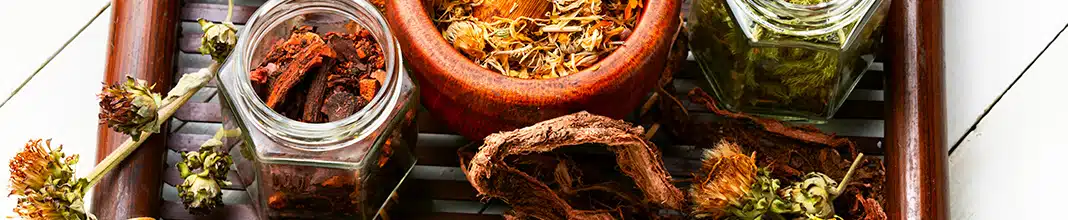 Historia de la naturopatía: conoce el origen de esta disciplina