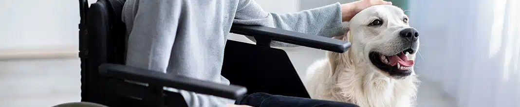 ¿Qué es la terapia asistida con animales?