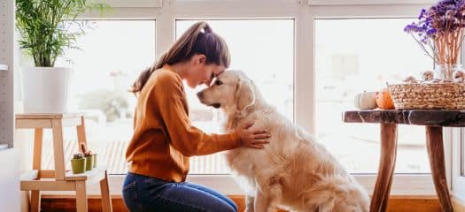 Terapia-asistida-animales